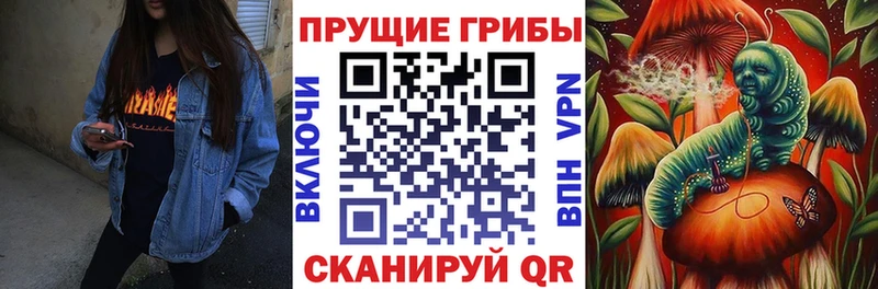 shop состав  Тайшет  Псилоцибиновые грибы мицелий 